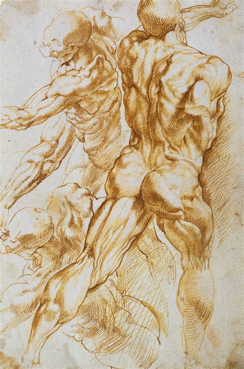 Rubens Master Drawing, Life Drawing, Figure Drawing, Painting & Drawing ...