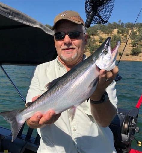 New Melones Reservoir - Kokanee Fishing is on Fire!