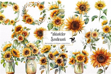 Watercolor Sunflowers Clipart Fall Sunflower Floral Bouquets - Etsy UK