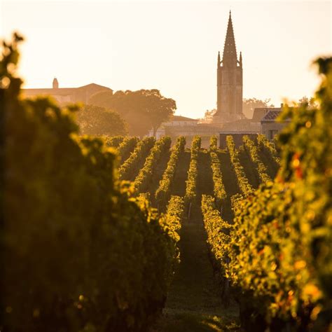 Saint Emilion: Discover its Culture and Gastronomy | a Guide by Cellar Tours™