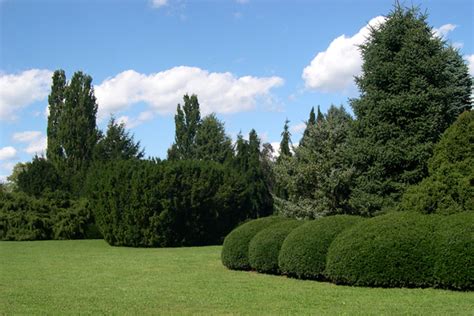 Yew Dell Botanical Gardens : The Garden Conservancy