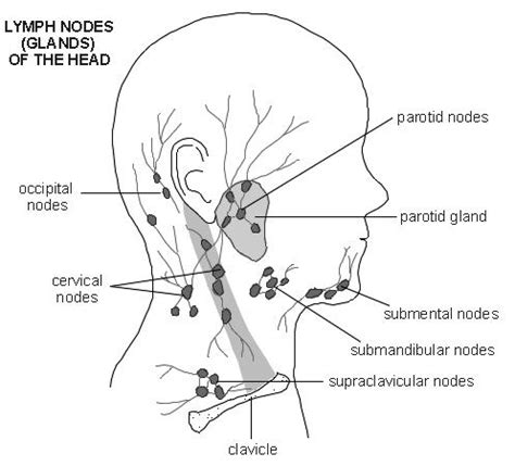 Approach to Lymphadenopathy | Learn Pediatrics