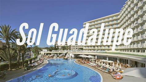 Hotel Sol Guadalupe en Magaluf, Mallorca, España. Las mejores imágenes d... | Places to visit ...