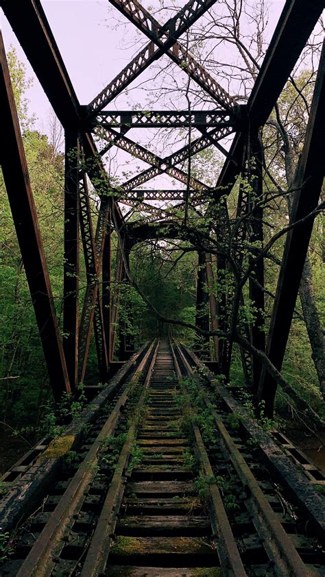 ITAP of an overgrown bridge : r/itookapicture