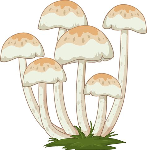 Fungi Clipart Set Of Cartoon Mushrooms Vector Fungi Clipart Cartoon | The Best Porn Website