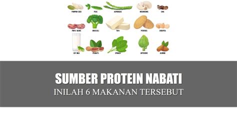 Sumber Protein Nabati Ada Pada 6 Makanan Ini Lho | sanghamba.com