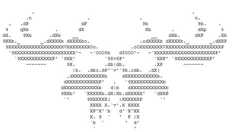 ASCII Skull Art - Obsessed With Skulls | Seni