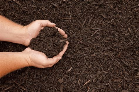 How To Make The Best Mulch For A Vegetable Garden | BigRentz