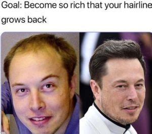 Goal Become So Rich That Your Hairline Grows Back - Elon Musk Meme ...