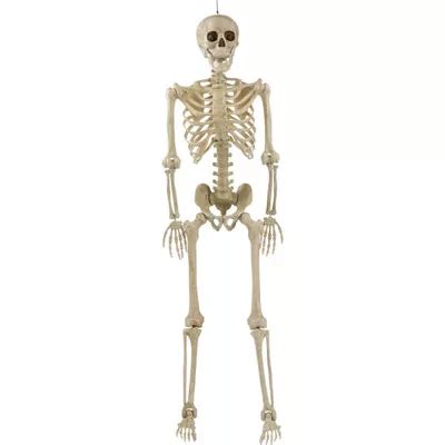 Buy Life-size Realistic Skeleton Halloween Party Hanging Decoration Prop - 5ft from our All ...