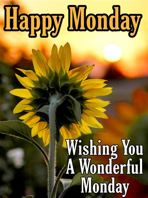 beautiful Happy Monday Images with wishes, quotes and messages