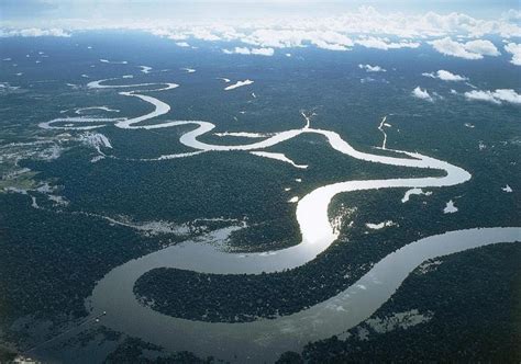 An introduction to giant fish in Mekong river