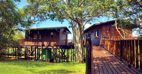 Bonamanzi Game Reserve - Tree Lodge | TravelGround