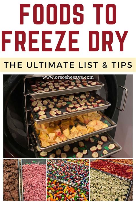 Foods You Can Put In Your Freeze Dryer ~ The Ultimate List & Tips - Or ...