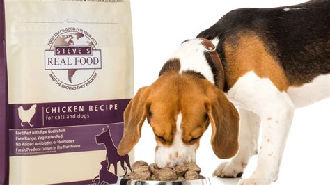 Top 13 Best Raw Dog Food Brands - Healthy Nutrition For Your Pet