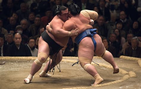 🔥 [40+] Sumo Wallpapers | WallpaperSafari