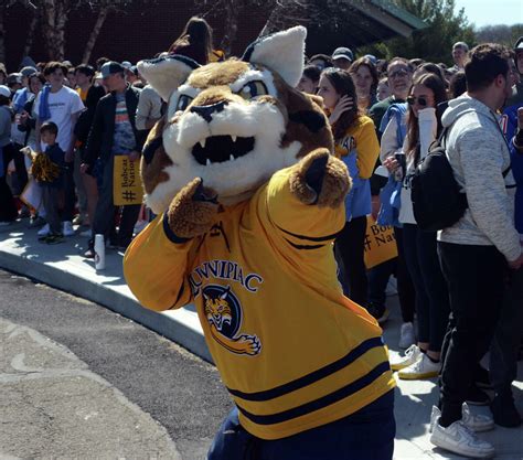 NCAA hockey champion Quinnipiac returns to campus in Hamden.