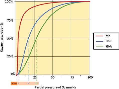 Graphical representation of oxygen saturation curves of myoglobin,... | Download Scientific Diagram