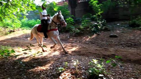 Riding a fast horse - YouTube