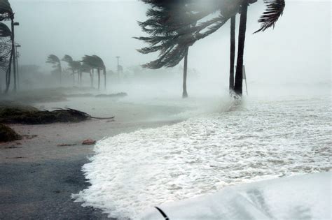 What to do if your roof is damaged by a hurricane or storm - Stay Dry ...