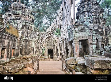 Angkor temple in Cambodia. Jungle temple ruin of Ta Prohm Stock Photo ...