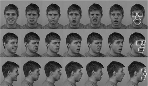 Examples of a male face image presented with varying facial expressions... | Download Scientific ...