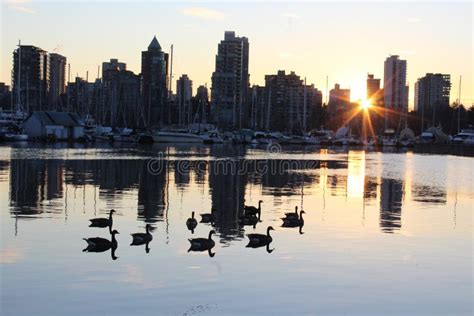 Vancouver at sunset stock photo. Image of fall, skyline - 83236502