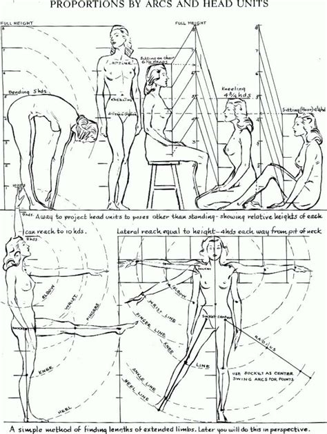 Proportions of the Human Figure : How to Draw the Human Figure in the Correct Proportions - How ...