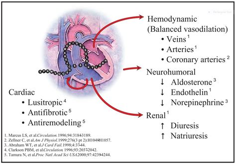 emDOCs.net – Emergency Medicine EducationBNP Level in the Emergency Department: Does it Change ...