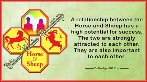 Horse Sheep Compatibility: Different And Great - ZodiacSigns101