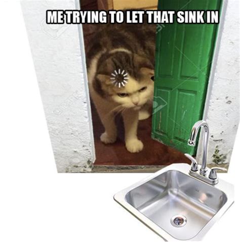 21 Let That Sink In Memes That Had Us Laughing