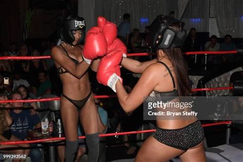 63 Foxy Boxing Stock Photos, High-Res Pictures, and Images - Getty Images