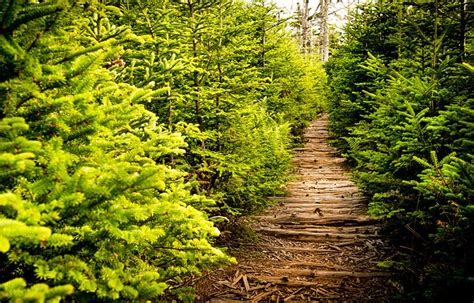 12 Top Hiking Trails in Nova Scotia | PlanetWare