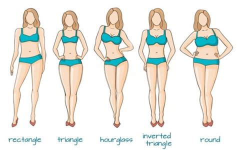 Average Female Weight and Height: What is The Ideal Weight For 5' 6" Womens? - Hood MWR