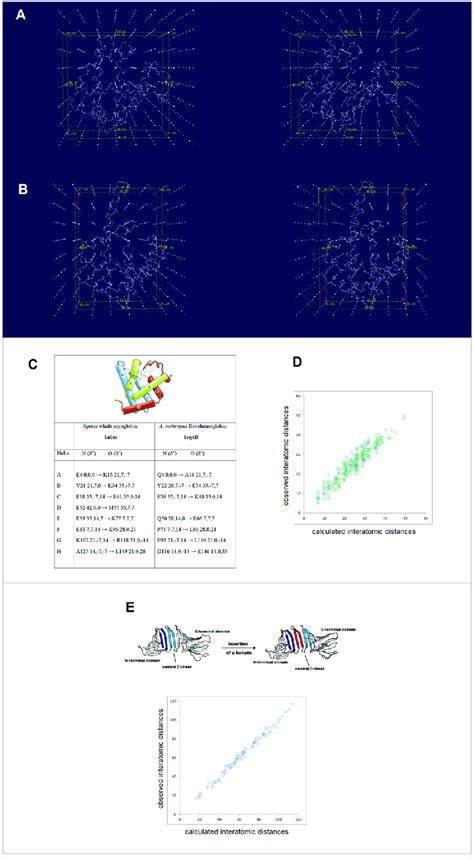 Folding template and tertiary structure of soluble globular proteins ...