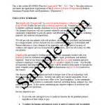 Free Printable Business Plan Sample Form (GENERIC)