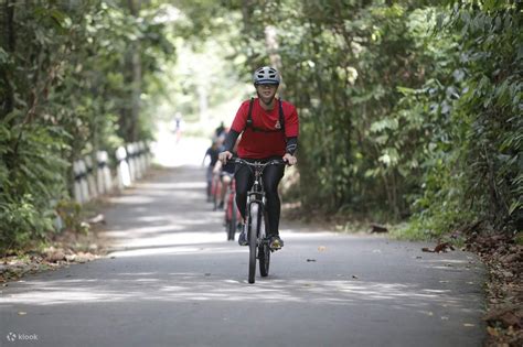 Nature Kayaking and Cycling Tour in Pulau Ubin - Klook