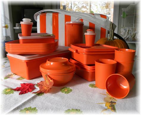 Kobys Cache: Tupperware Picnic Set