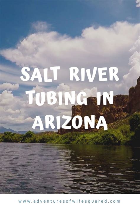 Salt River Tubing In Arizona | Salt river tubing, Tubing river, Arizona