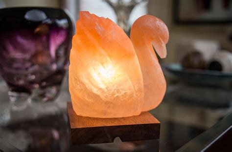 Salt Lamp Shapes - Agro Hub