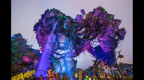 13 stunning photos of Disney’s ‘Pandora: The World of Avatar’ at night | fox61.com