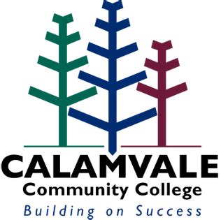 Calamvale Community College – AusPac