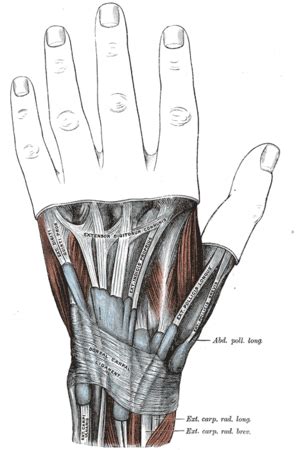 Wrist Extensor Retinaculum Injury