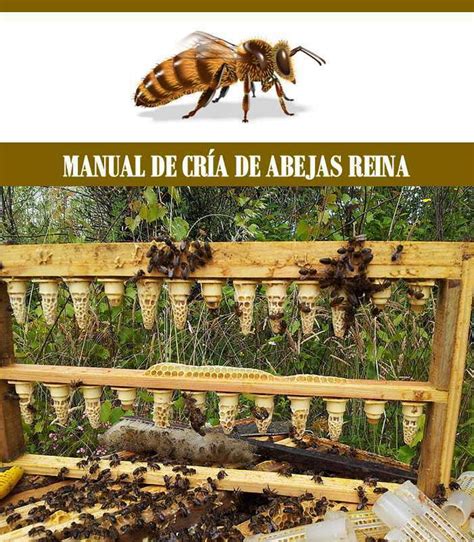 Manual de Cría de Abejas Reina - Corporación Biológica