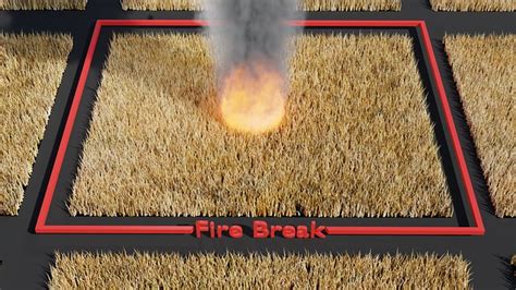 Download Firebreak, Wildfire, Fire Prevention. Royalty-Free Stock Illustration Image - Pixabay