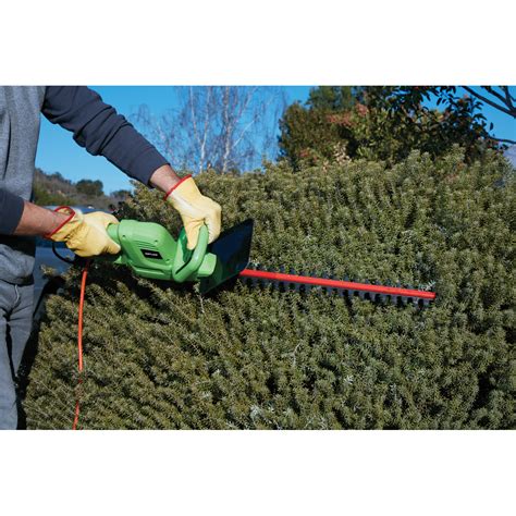 22 in. Electric Hedge Trimmer