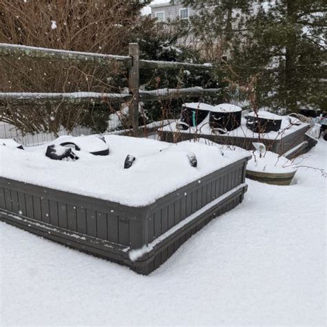 8 Winter Gardening Ideas for the Off-Season - Bunny's Garden