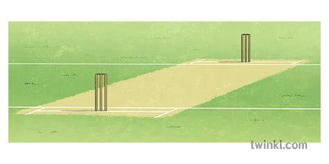 Cricket Pitch Illustration - Twinkl