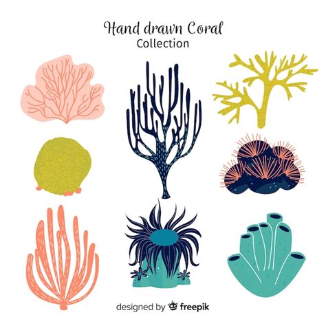 Free Vector | Hand drawn coral collection