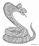 Free Printable Snake Coloring Pages For Kids sketch template